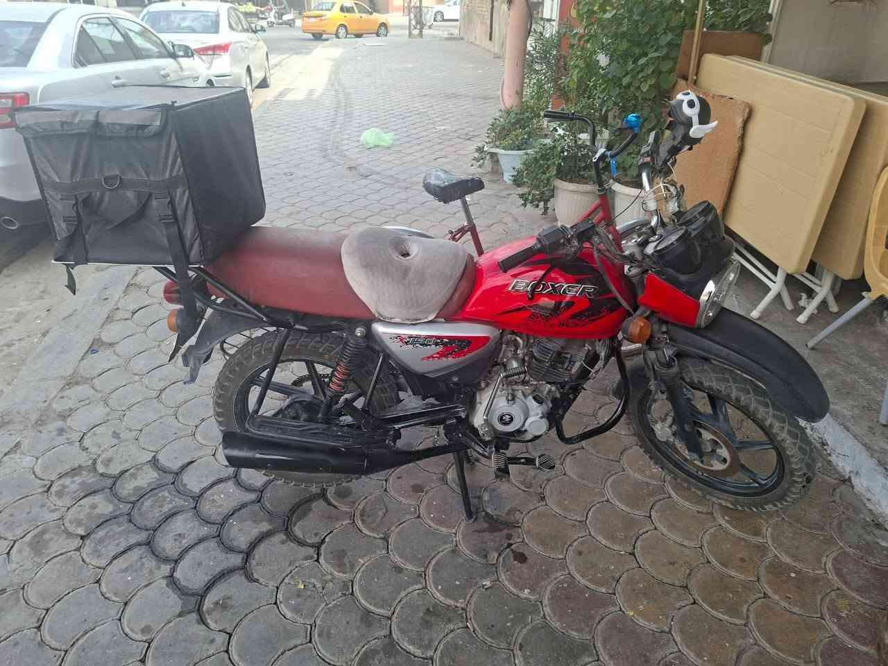بوكسر • جبلي • ٢٠٢١