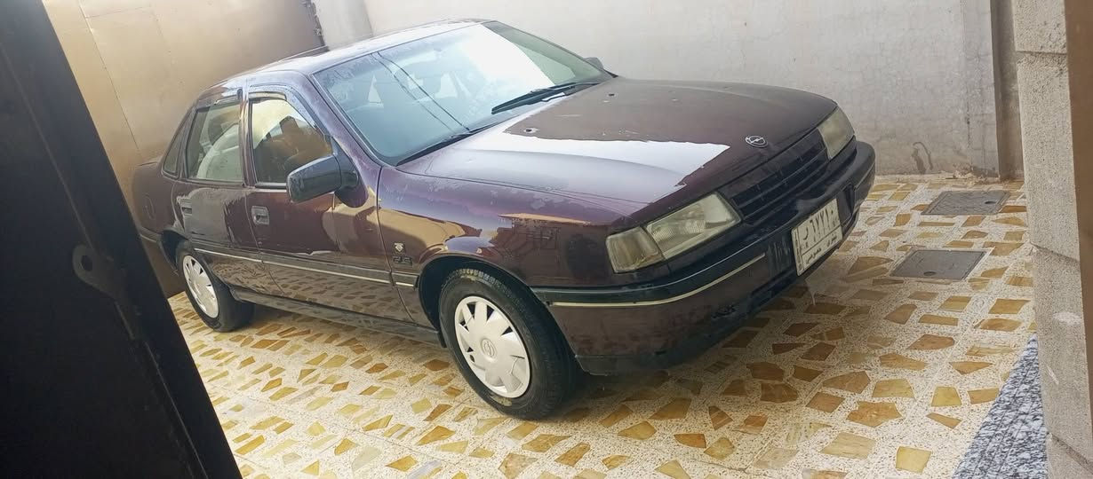 فيكترا • حجم 20 • بدون صبغ
