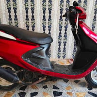 فراشه • فحل • ماعيزه برغي