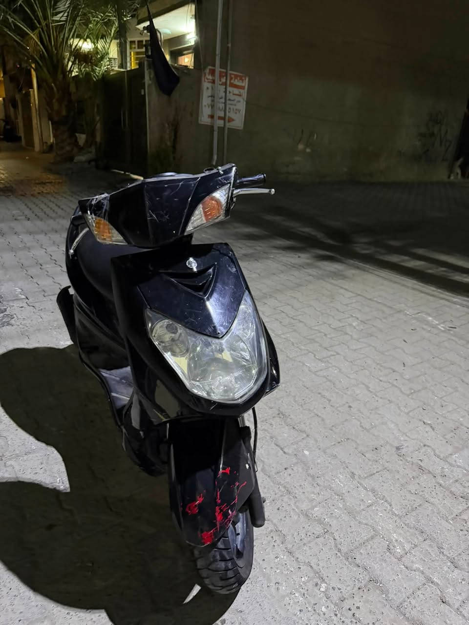 سكنس فحل • نضيفه • مراوس