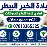 كربلاء • حي الوفاء • مقابل مجمع اكد
