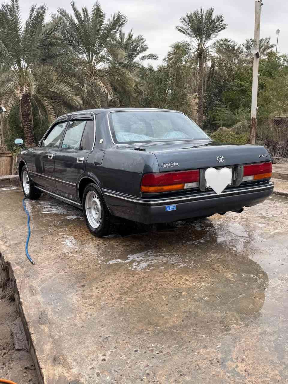 السلام عليكم أرنب ديلوكس ابتر موديل 95 مصبوغه جماليه فقط سعرها58 وبيها مجال بسمي تحويل ثاني مكانها بصره ابو الخصيب رقم الهاتف *********** للاستفسار اكثر ***********
