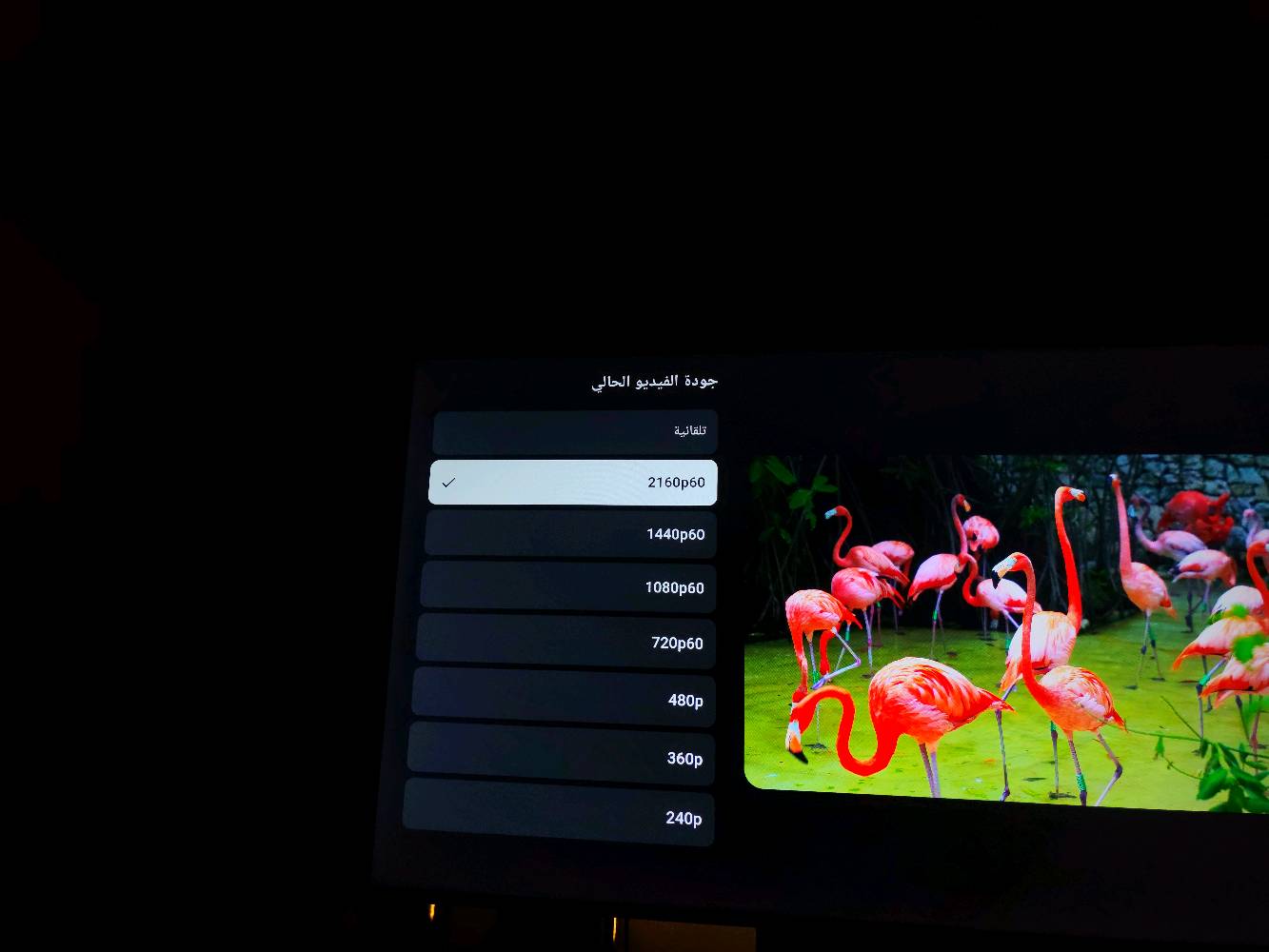 شاشه شاومي مواصفات Gamers سنه الصنع 2026 مع هديه ستاند متحرك

المعلومات المهمه ( اسفل المواصفات ) :

Xiaomi TV A Pro 55
📺 الحجم: 55 بوصة
🖥️ الدقة: 4K UHD — 3840×2160
DLG 120 FPS مستحسن وغير حقيقي
🔄 معدل التحديث: 60Hz 
🌈 الألوان: 1.07 مليار لون.  QLED
🎨 الألوان: DCI-P3
💡 HDR: Dolby Vision + HDR10
🔊 الصوت: Dolby Audio + DTS:X
📡 Wi-Fi: 2.4GHz / 5GHz
🔵 Bluetooth: 5.0
🎮 HDMI: 3 منافذ
⚡ HDMI 2.1: eARC + ALLM
🎮 Game Boost: يدعم
🕹️ زمن الاستجابة: منخفض مع Game Mode
📱 النظام: Google TV
🧠 الذاكرة: 2GB RAM + 16GB تخزين🔌 
📡 Chromecast: مدمج
🎙️ Google Assistant: مدعوم
📐 الأبعاد: حوالي 122.6 × 77.0 × 25.7 سم مع القاعدة
⚖️ الوزن: حوالي 11.3 كغم مع القاعدة
____________________________________
كل غراض الشاشه والستاند موجودات حتى البراغي 
( ماعدا الكارتون )
البصره / دور الصحه / قرب شارع النهر 
***********