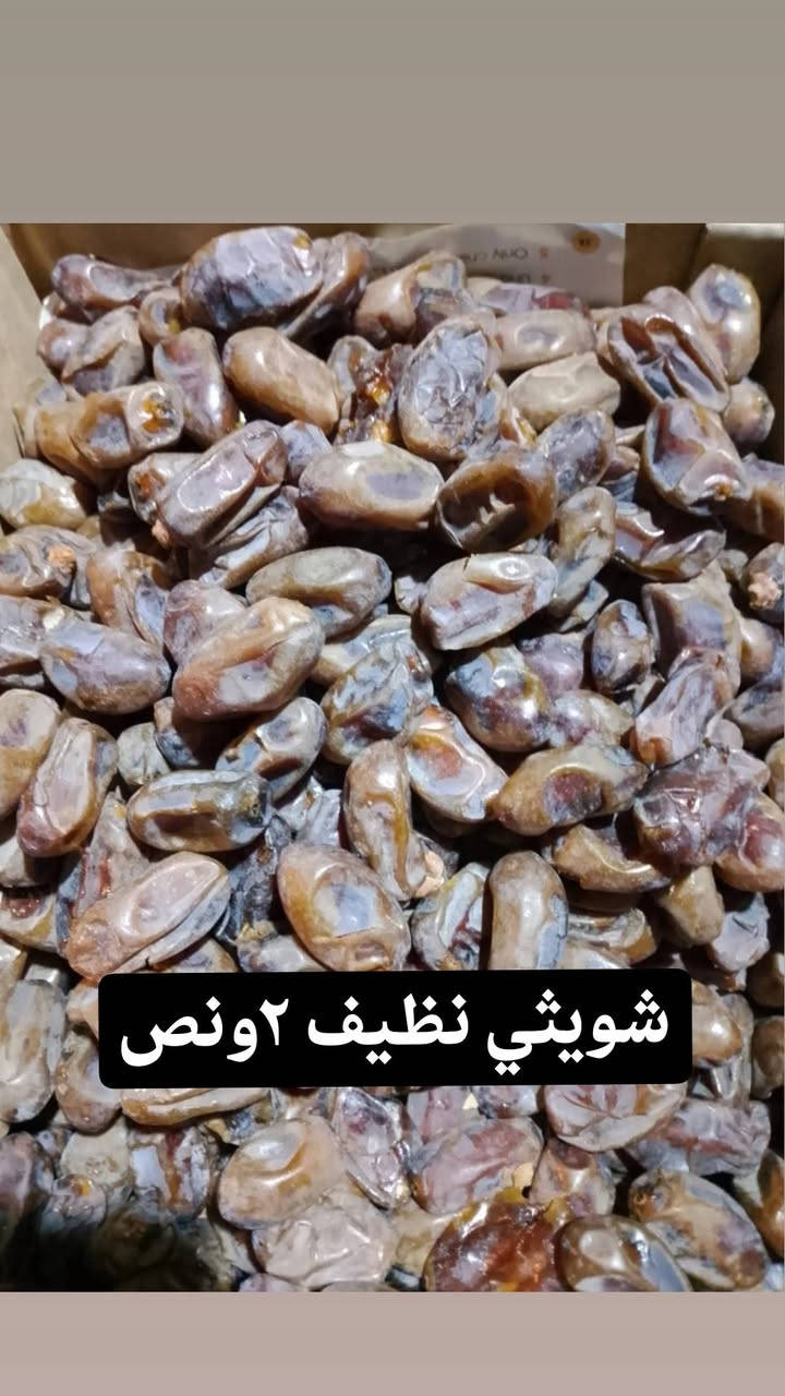 برحي يابس • عسل سدر أصلي • البصره ابو صخير