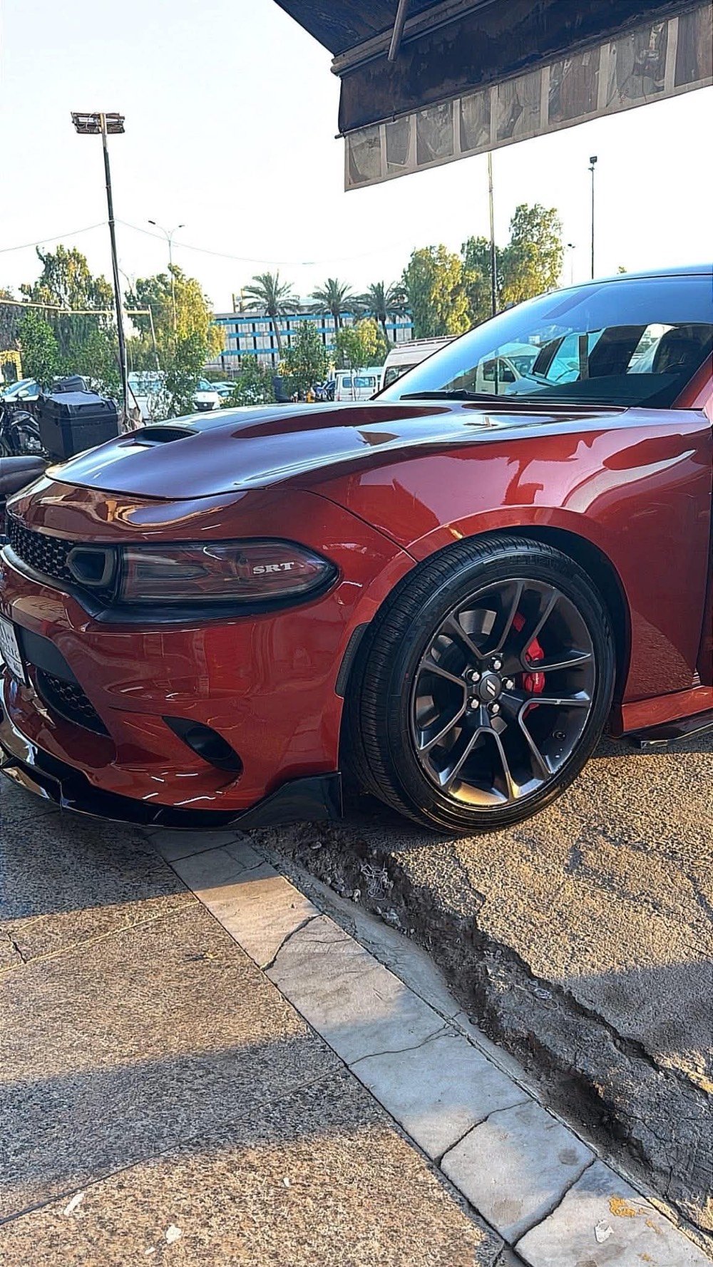 تم تنزيل السعر 185 ورقة
السيارة دايتونا اصل 21 rt 5700
مكينة كير حدادية نظيفات 
حادث جاملغ وبنيد
تعديل باللغد والشاصي الايسر
وبيهه كم رصعة بالقمارة والبدي
المواصفات
فول 1/1 عدا فتحة
ماشية 70 ألف فقط 
لون مشمشي مميز ورقمهه حلو وسهل
شاشة كبيرة  حساسات خلفية 
كامرة خلفية كشتات ذاكرة
كشنات هيتر وتبريد 
كشنات كنتارة وجلد كشنات كهرباء  قطعتين تبريد
شفتات استيرن  وضعيات قيادة 
طاقات بلاد شوته بلاد الزركه 
وباقي مواصفات معروفه الدايتونا
رقم بغداد الجديد هزة وسنوية مخلصانه
مكان بغداد الحسينية
***********