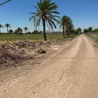 ابو غريب الحمدانية الثانية • دونم • طابو زراعي سند 25