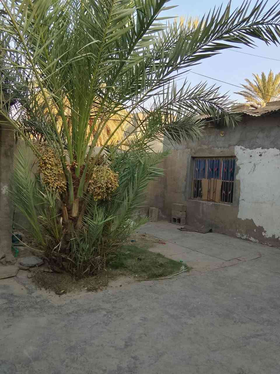 سلام عليكم يوجد لدينا بيت لليجار يحتوي على مرافق + حمام  + استغبال + غرفة واحد + مطبخ + ترك + حديقة وطرما واسعا الفيديو للتوضيح المساحة 150 السعر اليجار 200 او بي مجال  العنوان المعوقين قرب صيدلية عطر الرند للستفسار ***********
