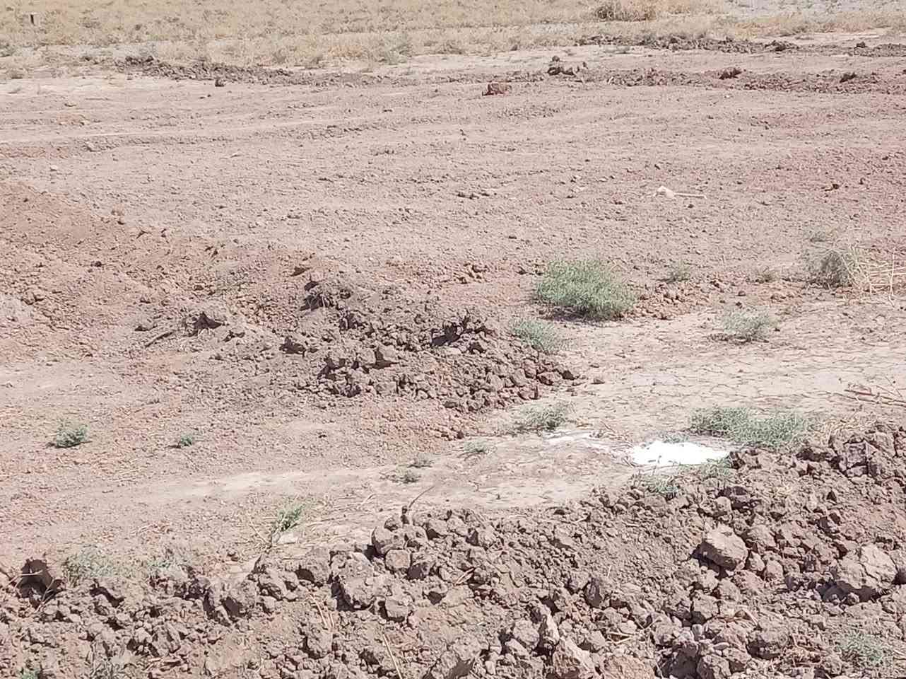 قطع للبيع الحويجة زراعي الإبراهيمية
ق،رب سيطرة المعهد
مساحة القطعة ٢٨٠ متر على شارعين
ماء وكهرباء قريبه 
سعر القطعة ٤ مليون
شكدتريد موجود
***********
