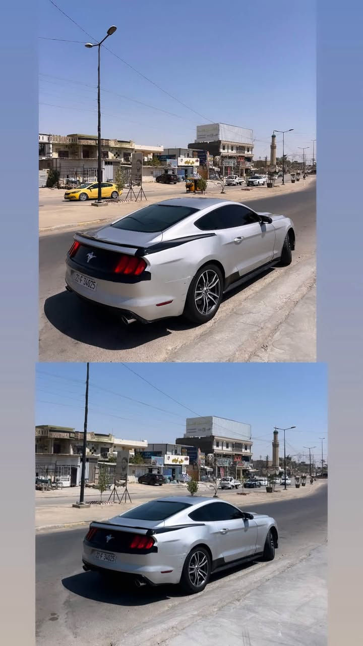للبيع او مراوس موستنك مديل 2016 بيها صبغ بدون دواخل اربع قطع أبواب قماره تكم جنطه مكفولات مكينه 6مكينه كير جديد خير من الله تبريد ثلج فول مواصفات بصمه ومعروفه باقي المواصفات رقم اربيل دولي ب اسمي تحويل ثاني يوم تخم تاير جديد سعر مناسب خاص او اتصل ع رقم الرد سريع متواجد واتساب ***********
