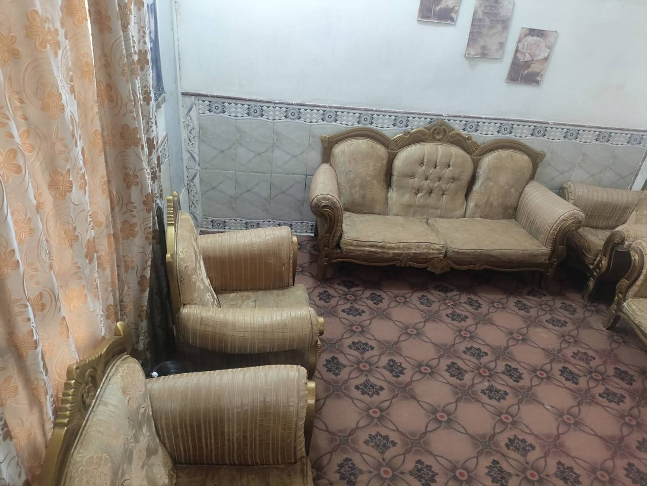 تخم زان • ١٠ مقاعد • كنب