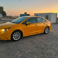 كورلا LE • ٢٠٢٢ • ابيض