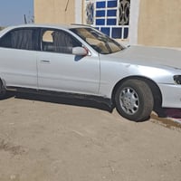 كرسته • هارتوب • سعر خاص