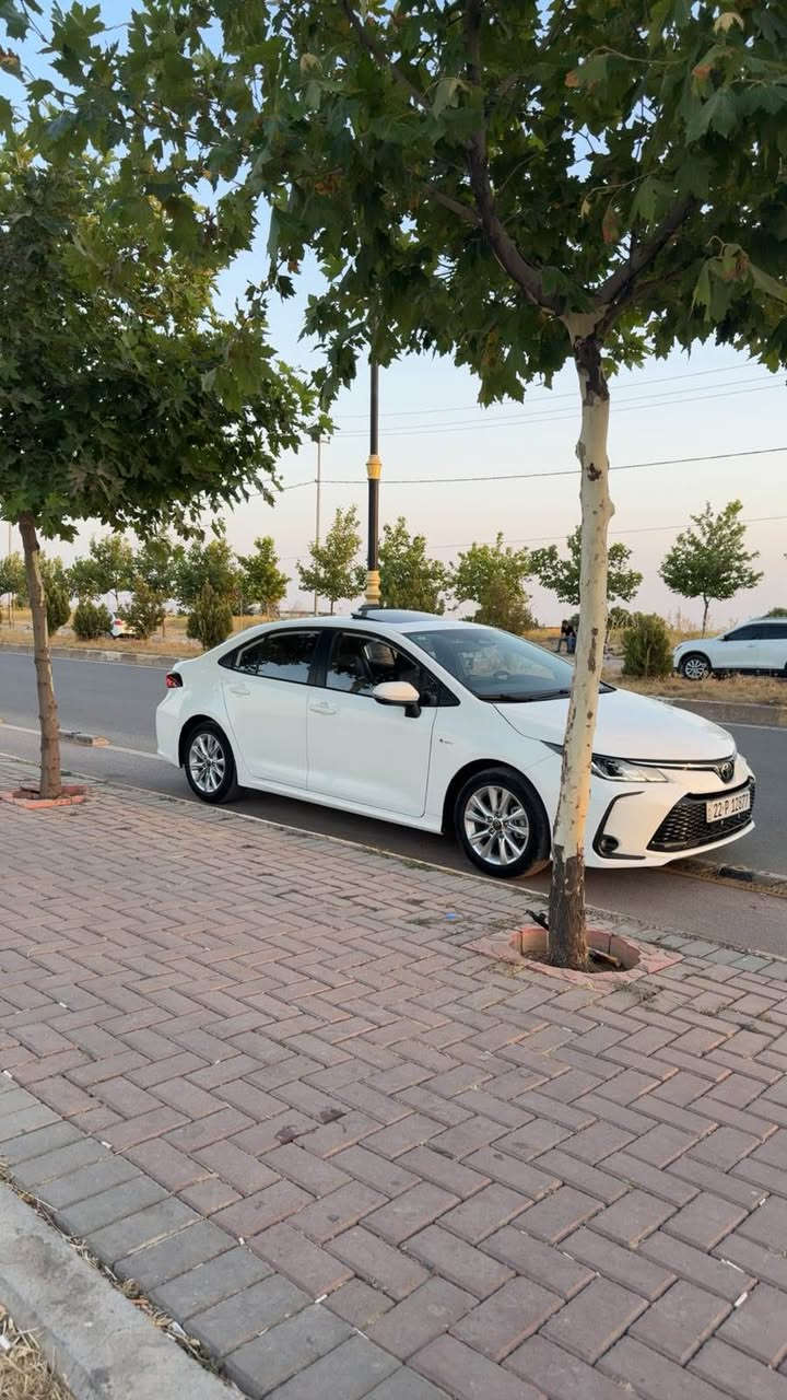 كرولا هايبريد ٢٠٢٤ فول موسفات ٢٩ هزار رويشتوه يةك بست pdrهه يه رسمم لايه به ناوي خومه زور زور خاوينه سعري ١٦٥ عناون مسيف بيرمام *********** أربيل, العراق

