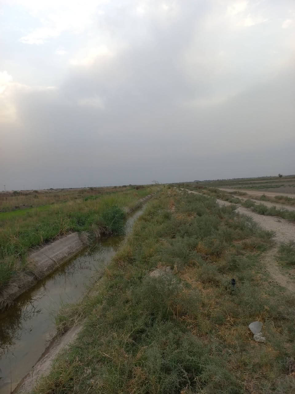 سند ٢٥ • ٨ دونم • منطقة الشيخ عامر