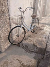 دراجة • بيش • ١٧٥