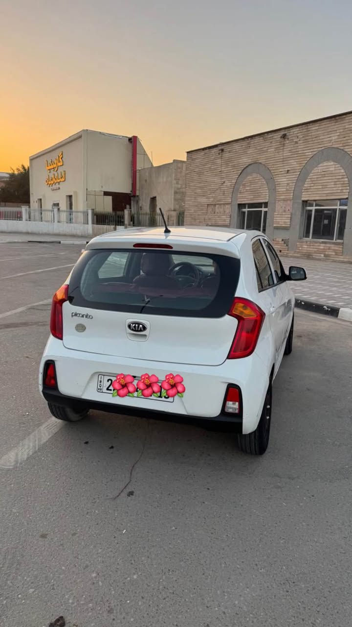 بيكانتو • ٢٠١٧ • مكفولة