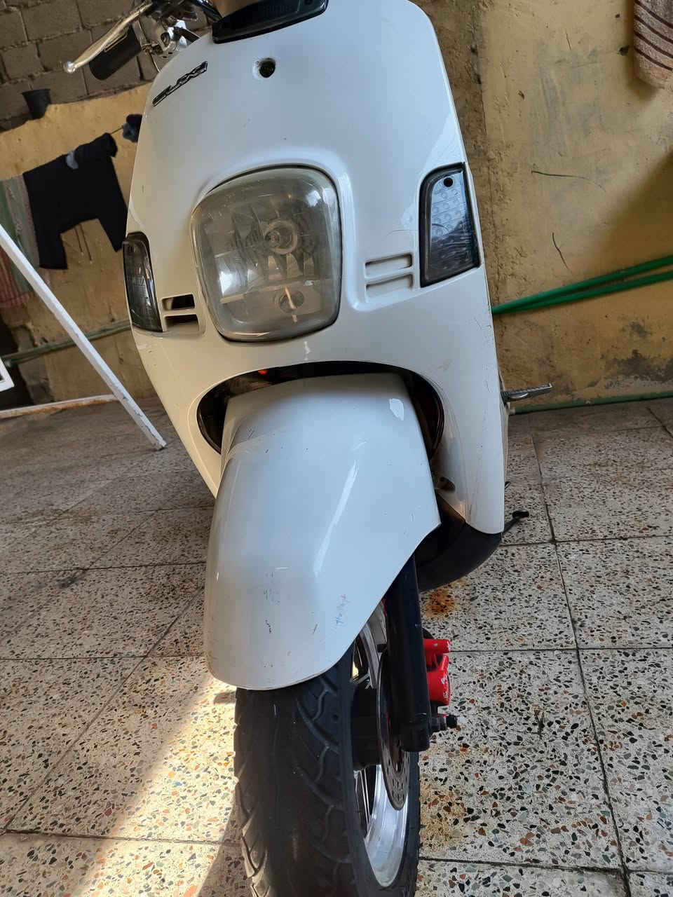 بوليس • ابيض كريمي • كفالة