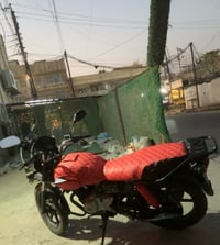 بوكسر جبلي • ٢٠٢٣ • أوراق