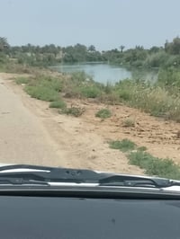 طابو زراعي • ٣٠دونم • واجهة ٢٠٠م