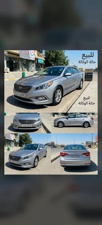 حالة الوكالة • وارد أمريكي • ٢٠١٥