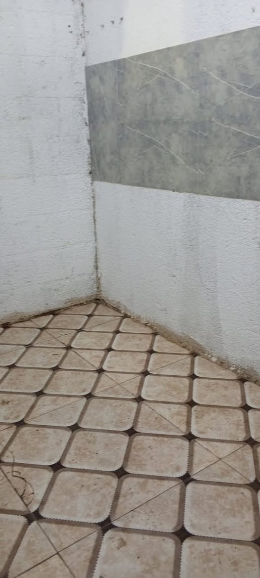 بيت للايجار بالابله (قرب المغتسل)يحتوي على غرفه وصاله ومطبخ وصحيات وطارمه صغيره السعر 350 شامل الماء والكهرباء
واتس ***********
