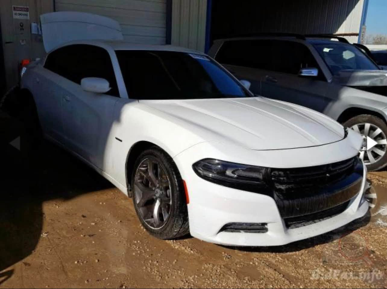 ‏ DODGE CHARGER 2018 R/T
دوج جارجر ار تي R/T موديل 2018

صور الضرر موجودة بدون ايرباك وسونار 

•المواصفات :

▪️السيارة: دودج جارجر R/T

▪️الموديل: 2018

▪️المحرك: 5.7L (ثمانية سلندر)

▪️لايتات زينون عالي ناصي مع حاجب LED متغير 

▪️بصمات عدد 2 للأبواب مع بصمة تشغيل

▪️كامرة خلفية دوارة اصل مع الستيرن

▪️حساس خلفي

▪️شاشة حجم كبير

▪️كشنات السيارة جلد 

▪️تحكم فول كهرباء لكرسي 

▪️تبريد قطعتين امامي وخلفي

▪️سستم صوت الپاين ALPINE 

▪️تشغيل عن بعد

▪️سبويلر في الجنطة 

▪️تدفئة وتبريد كشنات 

▪️شفتات ستيرن 

▪️كزوز بلادي

▪️تحكم ستيرن جهتين بلوتوث وحاكية وكروس سرعة وتحكم صوت 

▪️نظام ABS مانع انزلاق

▪️كشنات خزن ميموري 

▪️ويل نجمة وتخم تاير جديد

▪️رادار جانبي

▪️مرايا الجانبية والوسطية تعتيم ذاتي 

◼️عداد المشي 87 الف 

سنوية ورقم جديد بسمي شرط التحويل 

السيارة عليها ادامة كاملة وبدون نقص صدر وبرمجة مراوح  وتنظيف غرفةالاحتراق وجاهزة ..

السعر المطلوب : 170ورقة وبيها المجال.
 
مكانها بغداد 

الاستفسار اتصل ع رقم ***********

نص مكتوب في الصور:
- BidFax.info
- BidFax