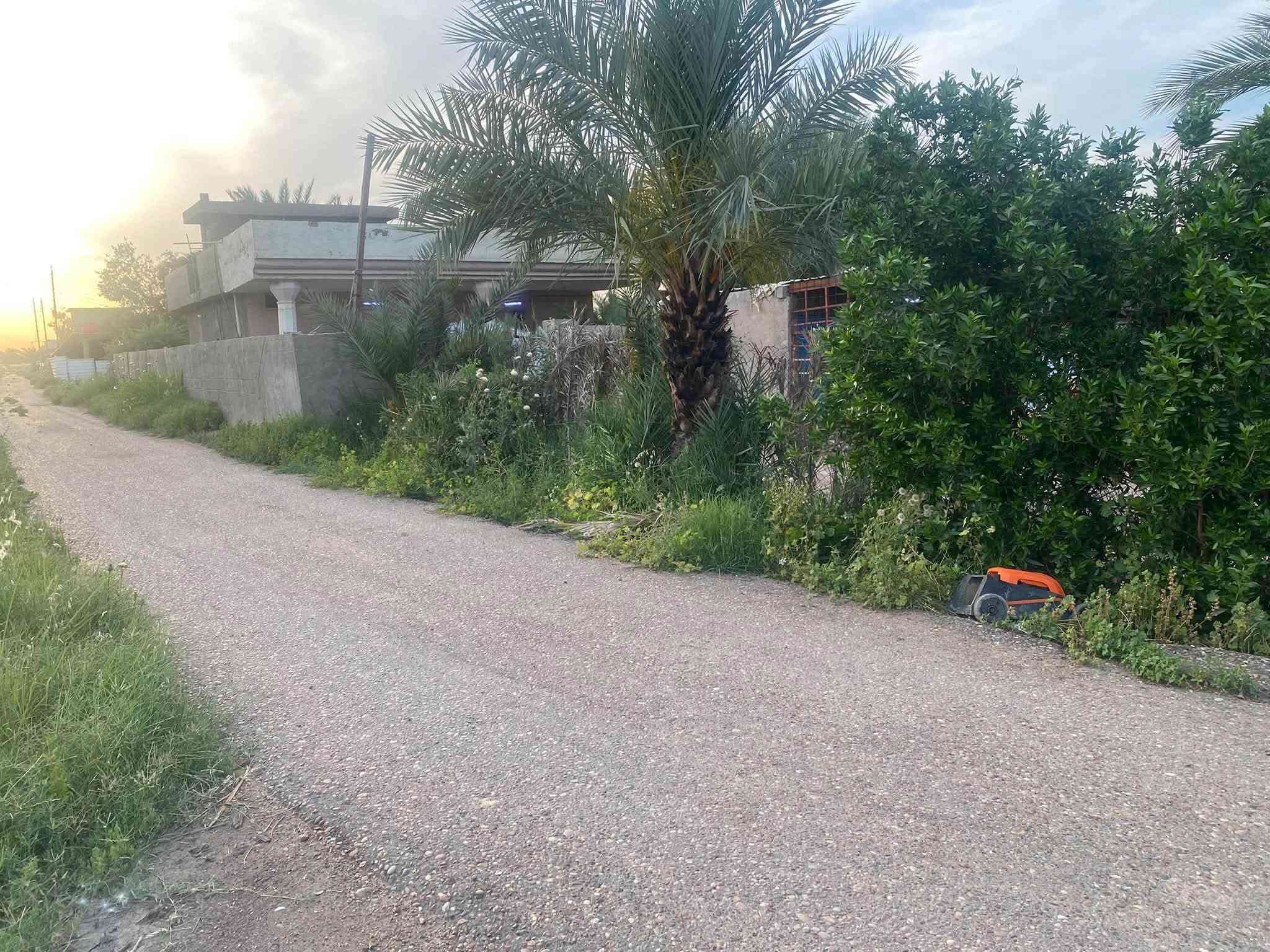 دونم تجاري مع منزلين على طابو المحموديه مقابل الدولي يتحول باسمك
دونم ركن طابو زراعي سند 25  على ثلاث شوارع تحيط به ومقابل نهر اروائي يحتوي على وحدتين سكنيه متجاورة وحديقة من جهتين جاهز لمشروع تجاري او صناعي او سكني نافذ على مدخلين من الدولي  

مساحة المنزل الاول / 200م

مساحة المنزل الثاني/ 200م 

الموقع / بغداد اتجاه سريع الجديد مقابل مفرق السريع الدولي كما يبعد دقائق عن الطابقين كامل الخدمات واصله خطين ماء وكهرباء 

***********

***********
