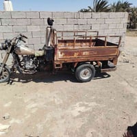 ستوته • وراق • ١٣