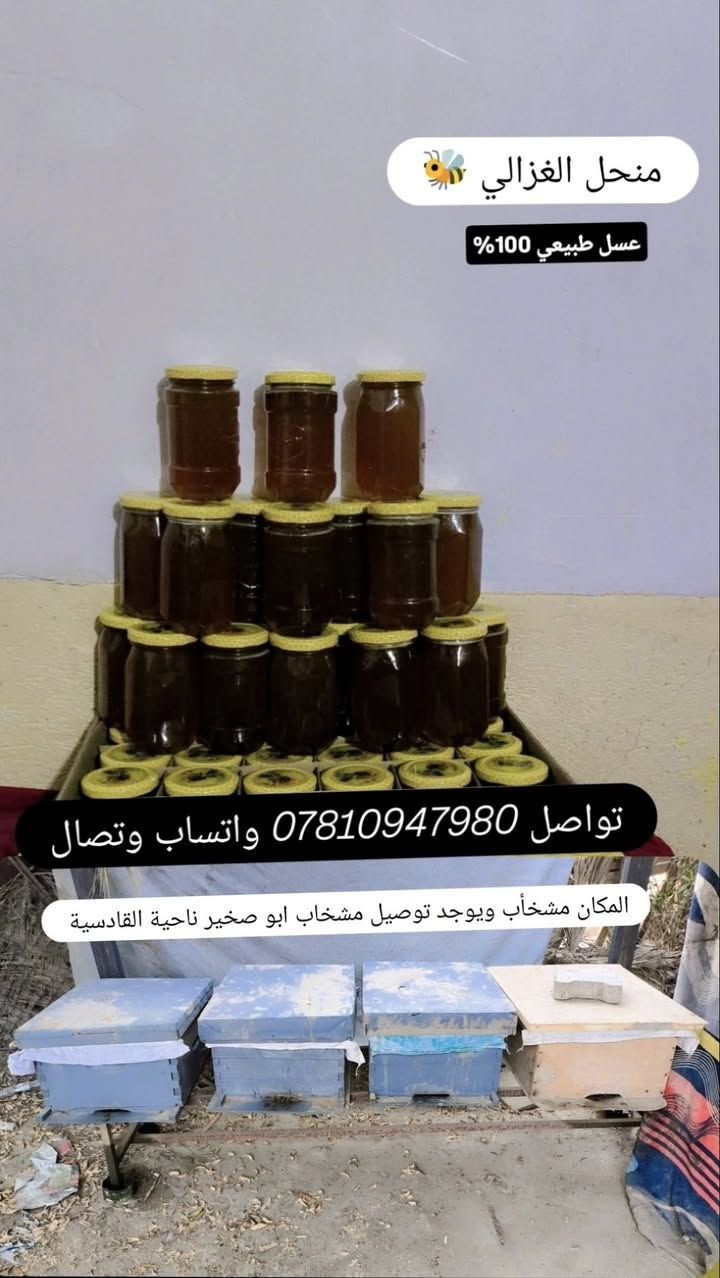 عسل طبيعي • منحل الغزالي • مشخاب أبو صخير
