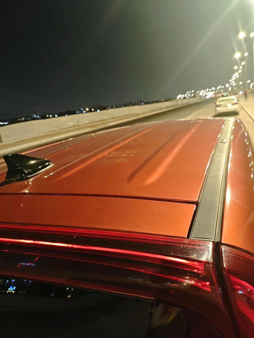 مشمشي • ٢٠٢١ • وارد امريكا
