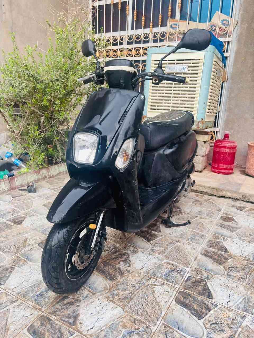 بوليس صيني • برغي • نضيفه