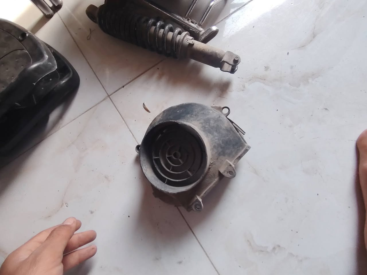 سبيسي • ياباني • قطع