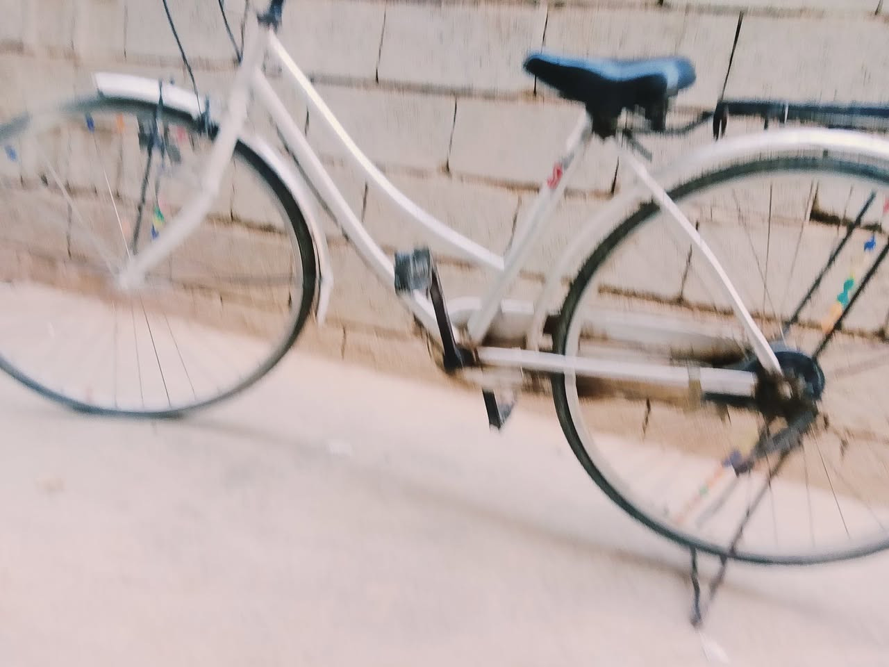 ***********
80
