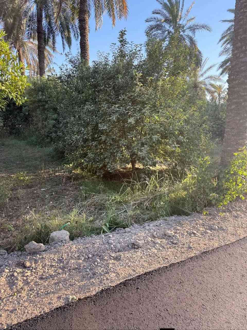 قطع اراضي باسعار جيدة موقعها التاجي الفلاحات شاطئ التاجي الارض ملك صرف على تسجيل عقار الكاضمية
500 متر
1000 متر 
1500 متر
2500 متر
متوفر كامل خدمات ماء كهرباء مدرسه قريبة جامع قريب 
الاستفسارات *********** اخواني الأعزاء لا تستفسرون بالتعليقات لين مو كلهم يوصلوني ادخلولي خاص او راسلوني واتساب معا احترامي للجميع بس اي شخص يرد عليك غيري هذولة ناس يخربون سمعة تواصلك وياي او عل واتساب
قطع اراضي باسعار جيدة موقعها شاطئ التاجي الارض ملك صرف على تسجيل عقار الكاضمية
