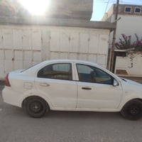 افيو خليجي • بابل • كير عادي