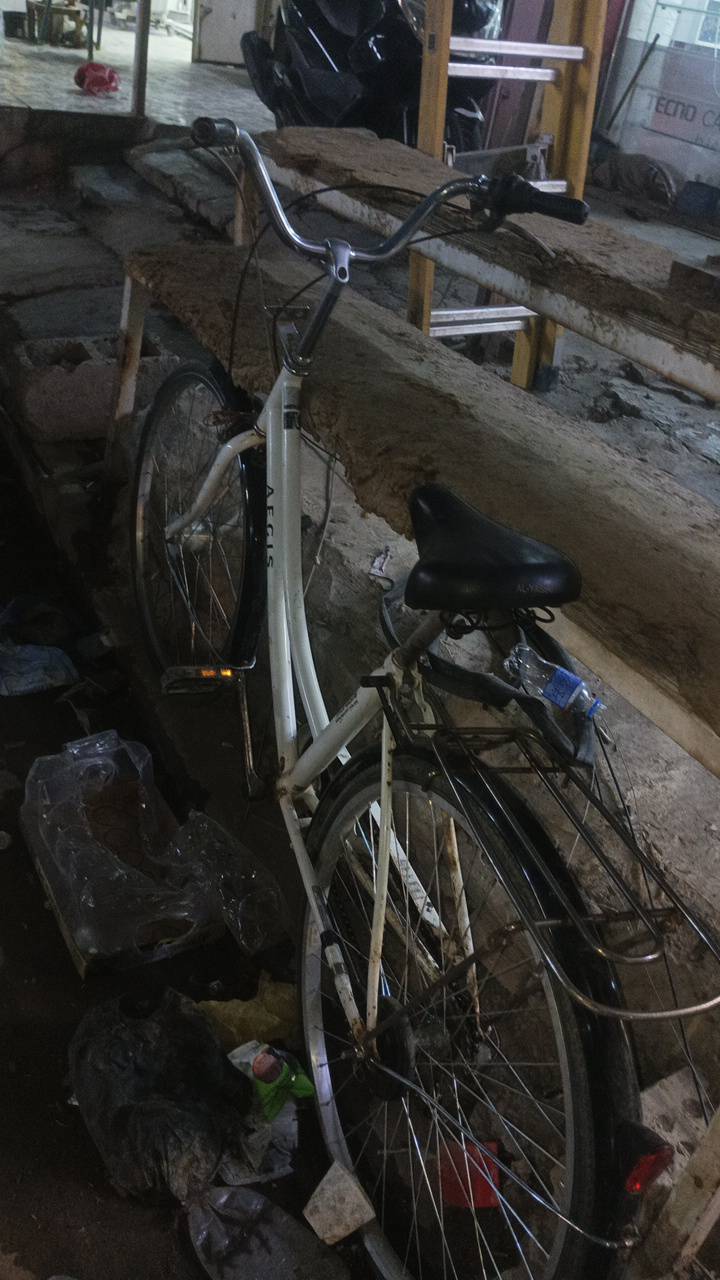 باسكل بناتي • ٢٦ • واتساب فقط