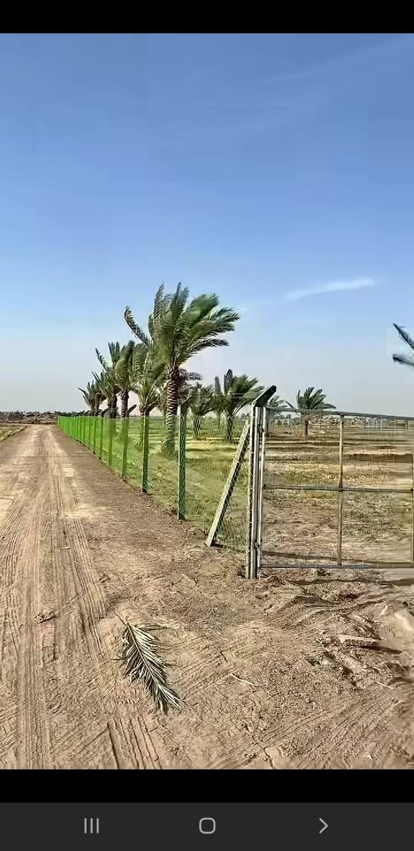 التاجي • ١٠ دونم • أرض زراعية
