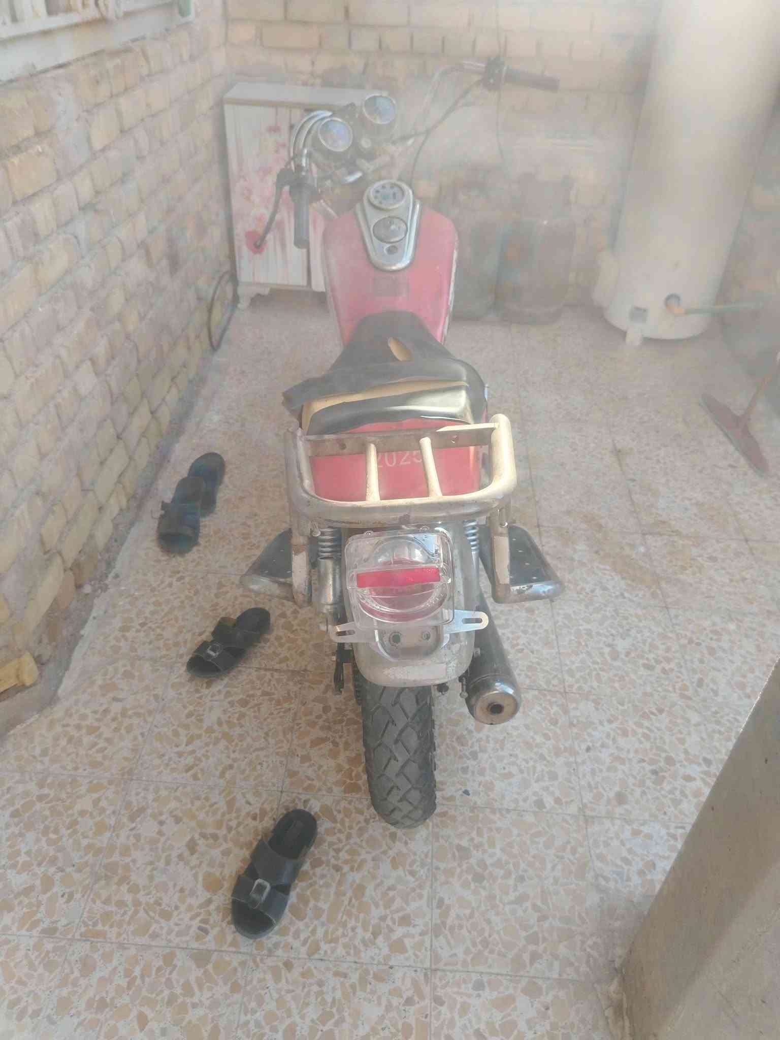 جونده • اوراق • اصوليه