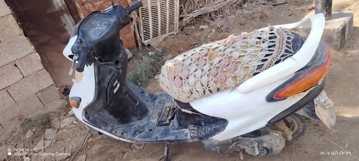 فراشه • مرخص • للبيع
