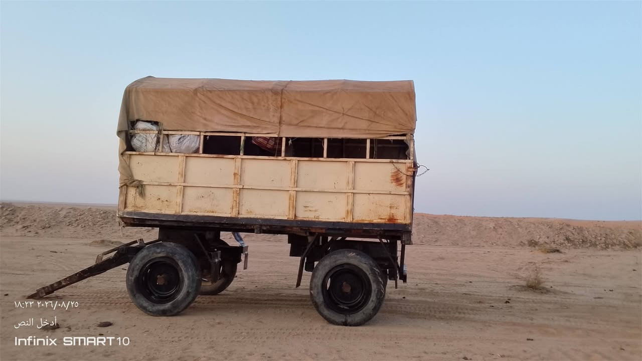 السلام عليكم عربانه للبيع عربان بلاديه عنوان كربلاء مكلف بالنشر/***********
