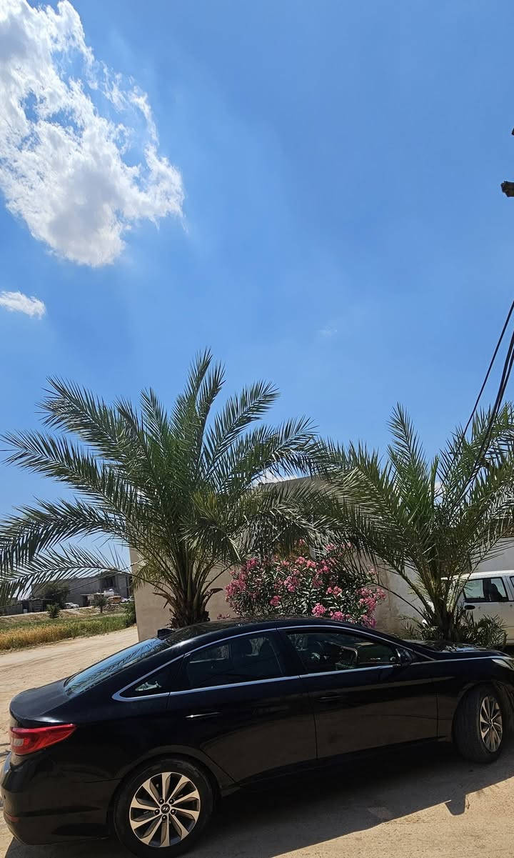 سوناتا 17 امريكي / مكان نجف
مكينه 2400 كير كفاله وضع شركه 

حداديه جاهزه 

تبريد ثلج 

ضربتها بأمريكه جنطه بالعراق جاملغات اماميه بارد

سياره جاهزه مناقصها شي 

110

***********
