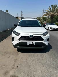 راف فور ٢٠٢٢ • هايبرد • بدون صبغ