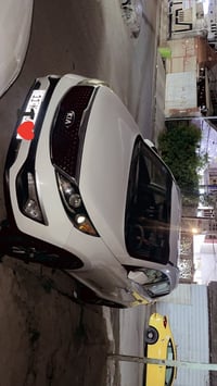سبورتج • ٢٠١٤ • امريكي