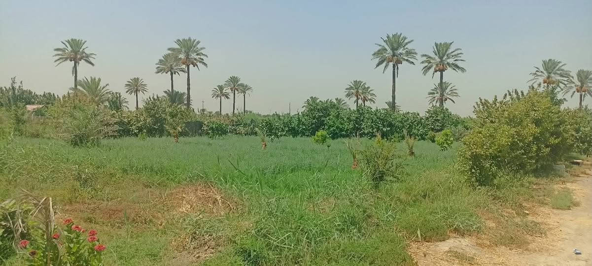 يا الله السلام عليكم دونم ونص سند 25 تحويل ثاني يوم بسم المشتري العنوان بغداد المدائن سلمان باك شارع سيد علي
للاستفسار *********** واتساب 
***********
