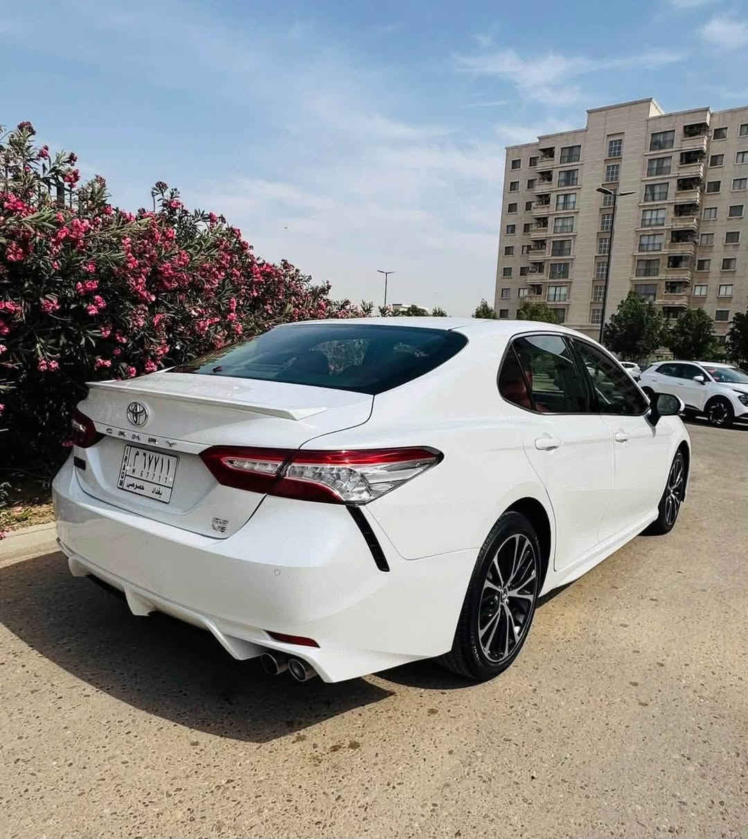 كامري موديل 2019 فئه ال S كراند سبورت خليجي وكاله رقم بغداد باسمي شبه مميز 

المواصفات :
ماشيه130 الف حقيقي 
السياره محرك 6 سلندر  
سياره فتحه 
برده خلفيه 
كشنات جلد احمر بلادي 
الكراسي كهرباء 
اوتو هولد 
٣ وضعيات قياده 
مري شفط 
شاشه كبيره بلاديه 
لد امامي 
اشاره بل مري 
حساسات اماميه وخلفيه 
مكان السياره بغداد حي العدل

السعر :215 وبيهة مجال ترهم مراوس 
 
***********
