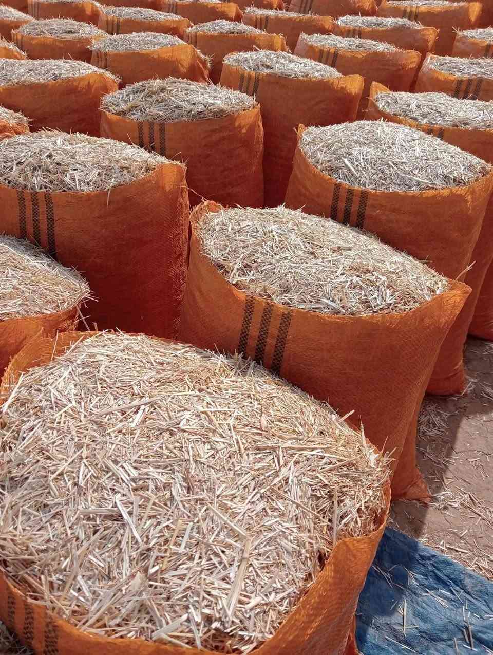 تبن للبيع درجه اوله مكفول من كلشي بسعر رخيص اتصال*********** ***********و مراسله خاص يوجد جميع القياسات توصيل مجاني (بابل ديوانيه طويريج بدر وجصان  كربلاء واسط بغداد )

