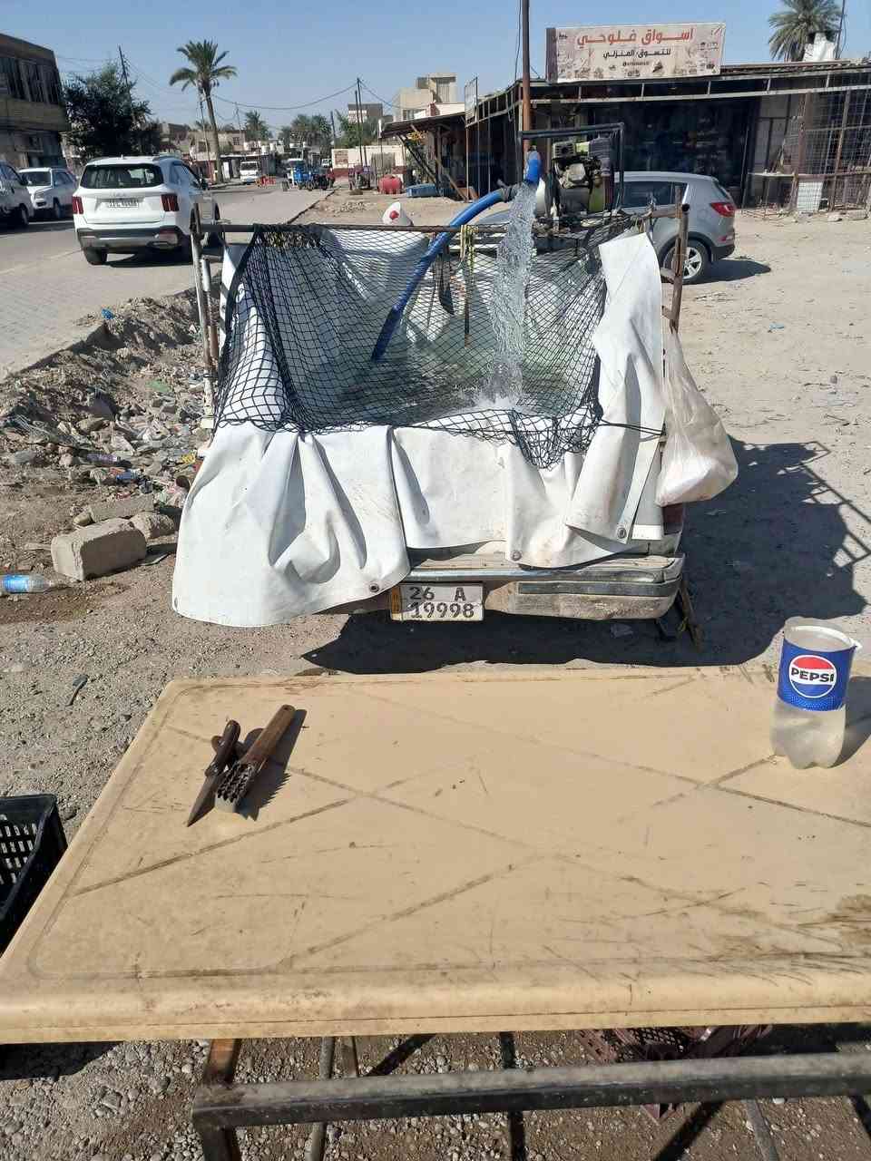 سمج خشن • قفص درجة أولى • جملة ومفرد