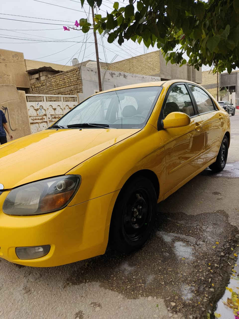 سيراتو خليجي • ٢٠٠٩ • مداور نجف