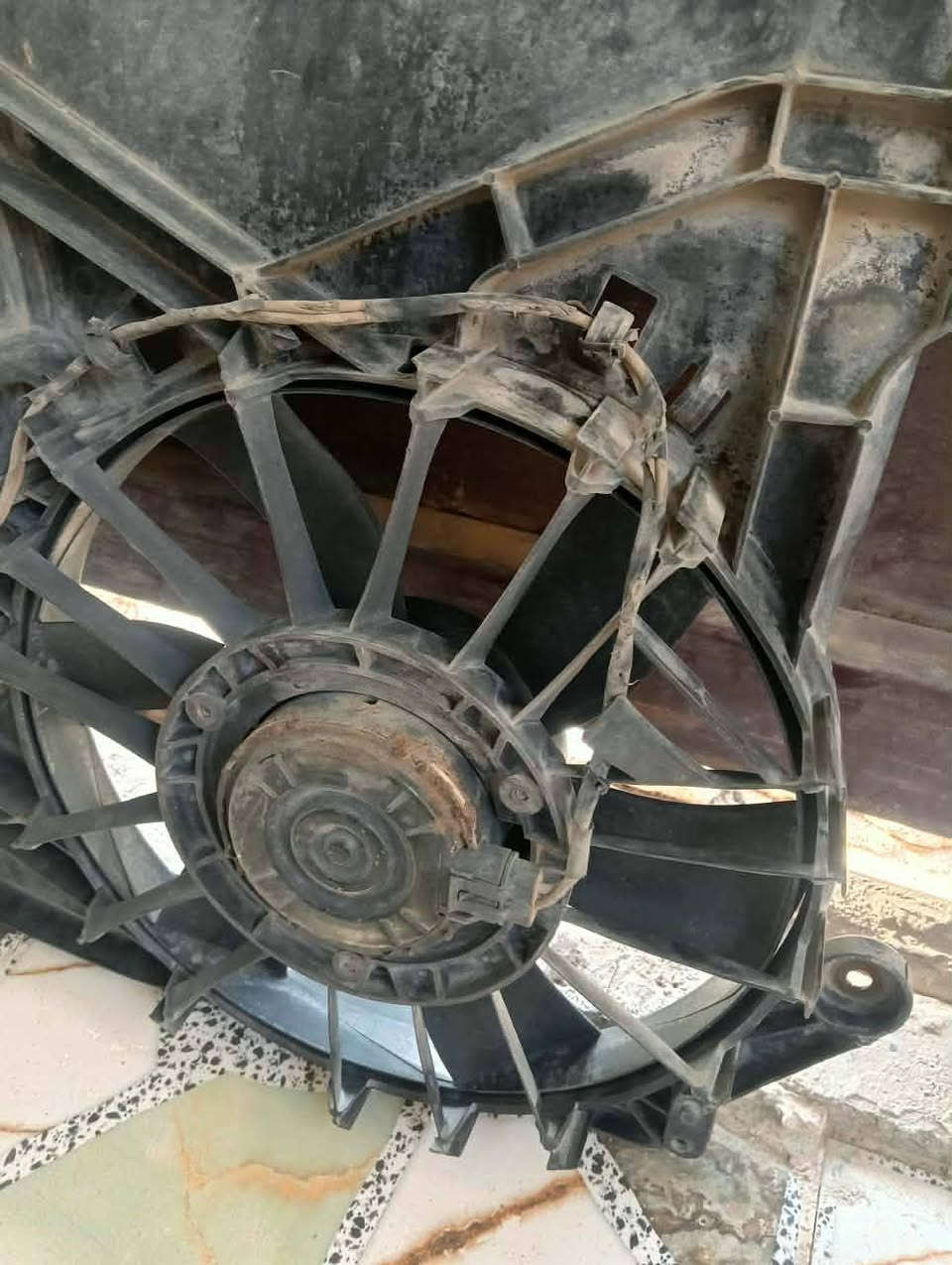 مروحة • أوباما • جارجر