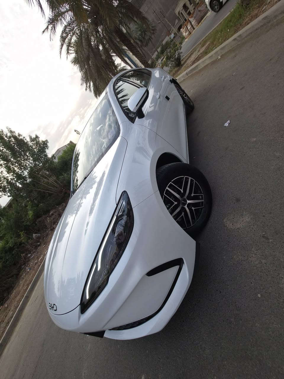 سيل5 • ٢٠٢٥ • بغداد الكرخ
